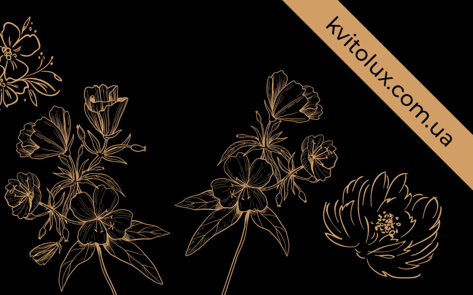 Kvitolux – премиальный флористический сервис